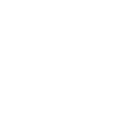 Accessibility Icon